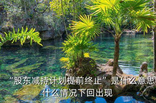 什么是違規減持,減持新規是什么