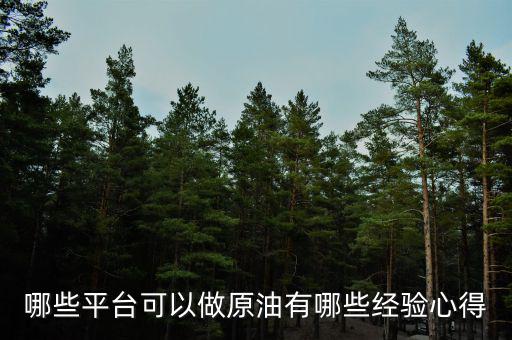 哪些平臺可以做原油有哪些經驗心得