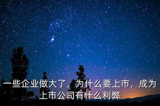 國企為什么要上市,中國企業為什么要在美國退市
