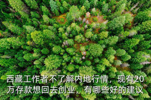 西藏工作者不了解內地行情，現有20萬存款想回去創業，有哪些好的建議