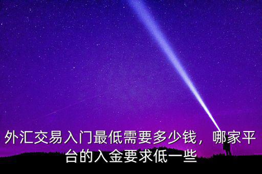 外匯交易入門最低需要多少錢，哪家平臺的入金要求低一些