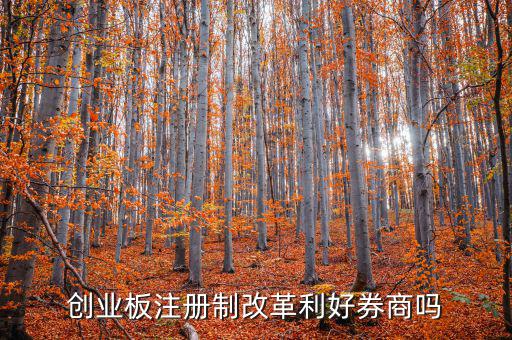注冊制為什么利好創投,注冊制下如何操作股票