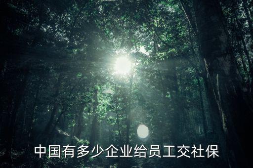 愷英網絡有多少員工,中國有多少企業(yè)給員工交社保