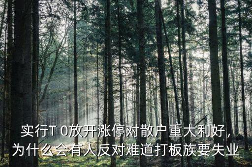 實行T 0放開漲停對散戶重大利好，為什么會有人反對難道打板族要失業