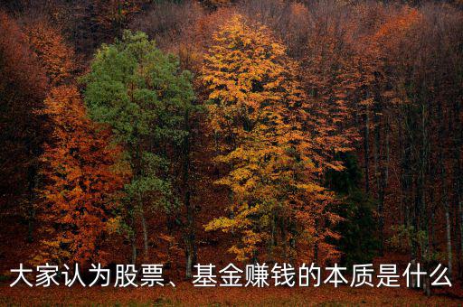 大家認(rèn)為股票、基金賺錢的本質(zhì)是什么