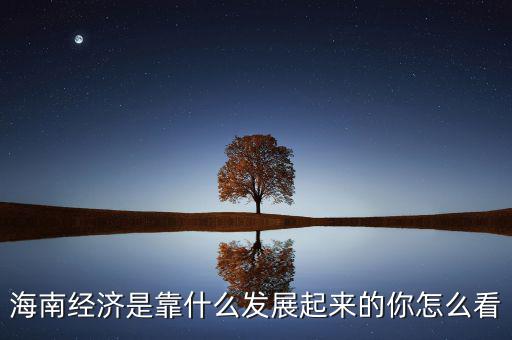 中國靠什么發展經濟,武漢的經濟發展靠什么來支撐
