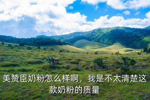 美贊臣奶粉怎么樣啊，我是不太清楚這款奶粉的質量