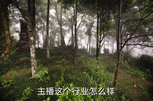 直播行業怎么樣,網紅直播行業怎么樣
