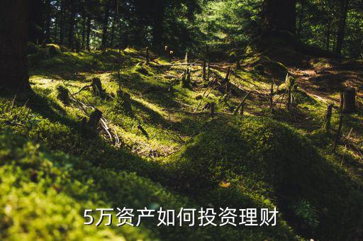 5萬資產如何投資理財