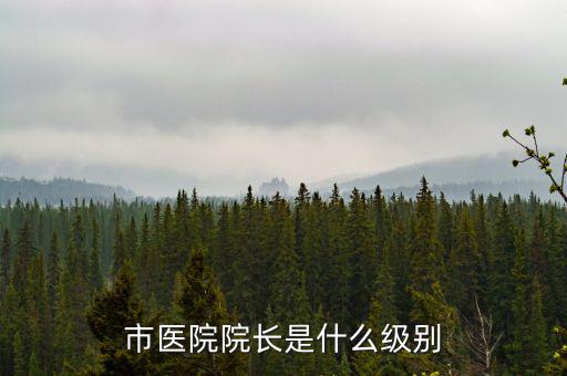 張來明是什么級別,市醫院院長是什么級別