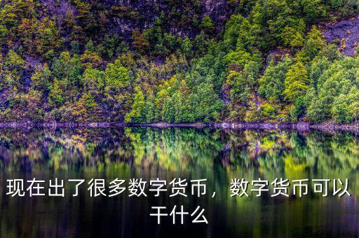 現在出了很多數字貨幣，數字貨幣可以干什么