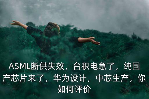 ASML斷供失效，臺積電急了，純國產芯片來了，華為設計，中芯生產，你如何評價