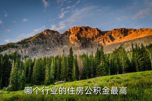 哪個行業的住房公積金最高