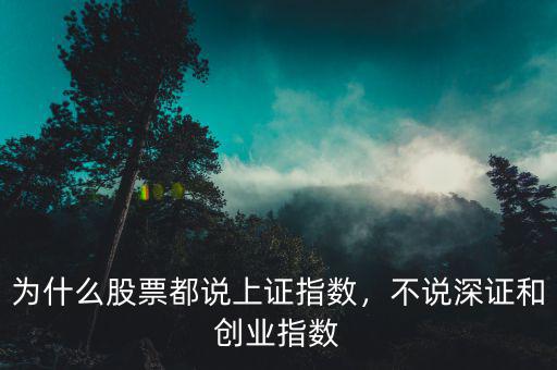 為什么股票都說上證指數，不說深證和創業指數