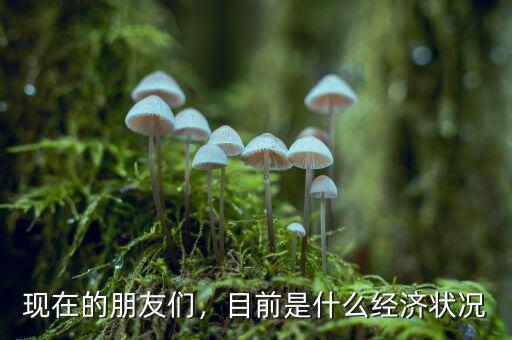 大家怎么看現在的經濟,現在農村經濟發展怎么樣