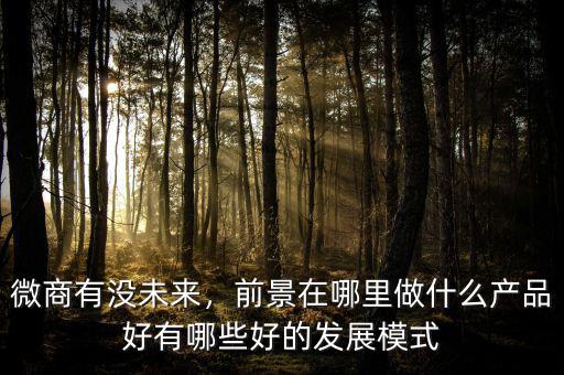 微商有沒未來，前景在哪里做什么產品好有哪些好的發展模式
