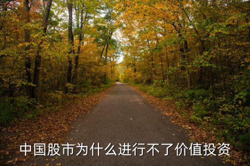 中國股市為什么進(jìn)行不了價值投資