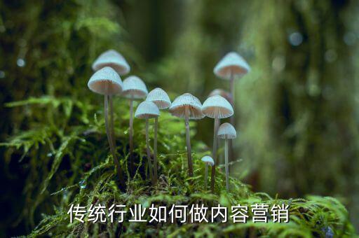 3c行業怎么進行內容營銷,傳統行業如何做內容營銷