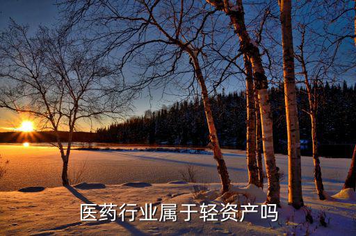 什么是重資產行業,醫藥行業屬于輕資產嗎