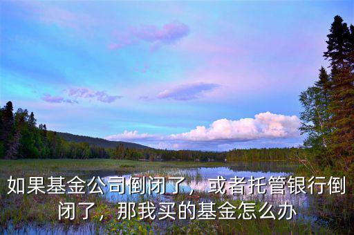 基金公司破產了怎么辦,如果基金公司倒閉了