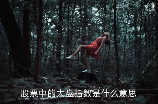 股票中的大盤指數是什么意思