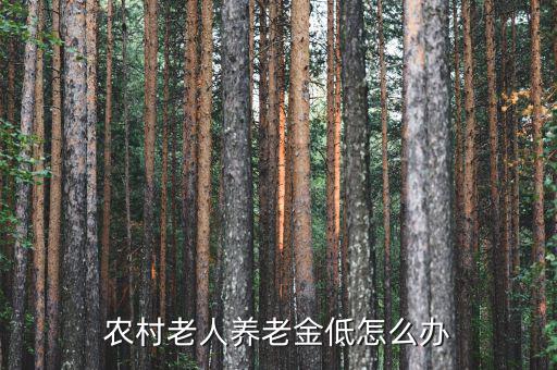 農村老人養老金低怎么辦
