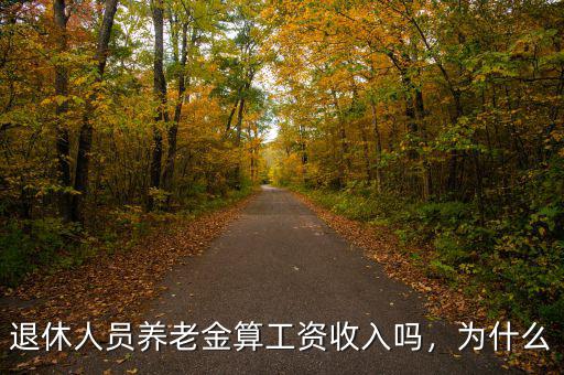退休人員養老金算工資收入嗎，為什么