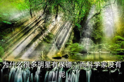 大佬們為什么要配保鏢,為什么很多明星有保鏢