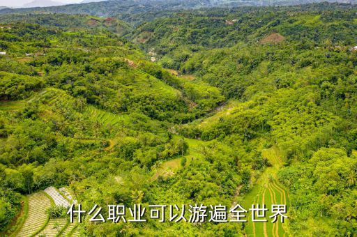 什么職業可以游遍全世界