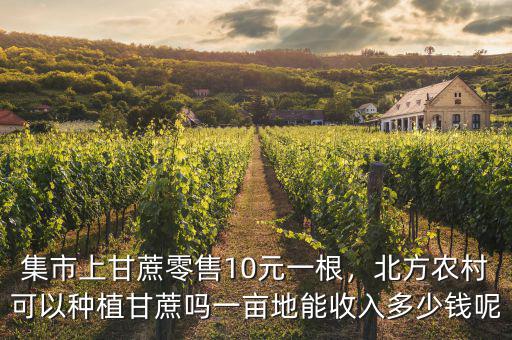 集市上甘蔗零售10元一根，北方農村可以種植甘蔗嗎一畝地能收入多少錢呢