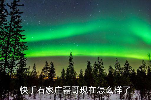 張磊現在發展得怎么樣,現在誰發展的好一些