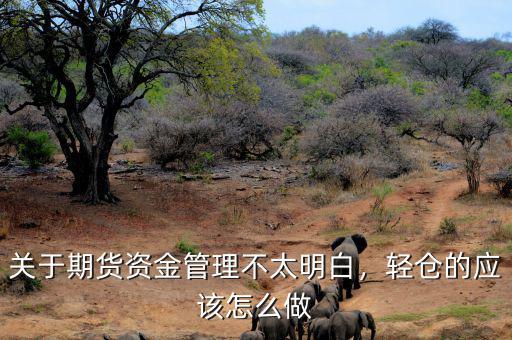 關于期貨資金管理不太明白，輕倉的應該怎么做