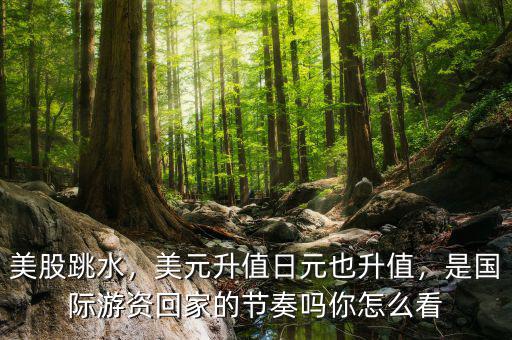 美股跳水，美元升值日元也升值，是國際游資回家的節奏嗎你怎么看