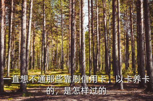 一直想不通那些靠刷信用卡，以卡養卡的，是怎樣過的