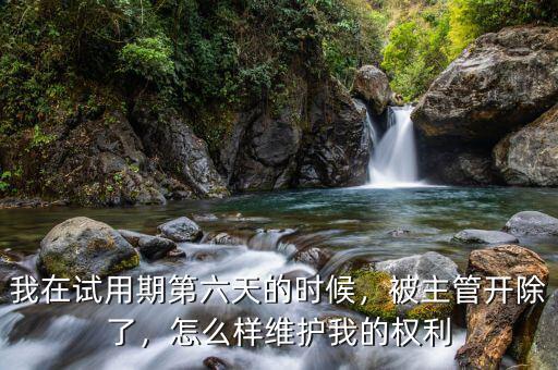 我在試用期第六天的時(shí)候，被主管開除了，怎么樣維護(hù)我的權(quán)利