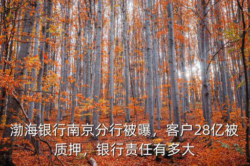 渤海銀行南京分行被曝，客戶28億被質押，銀行責任有多大