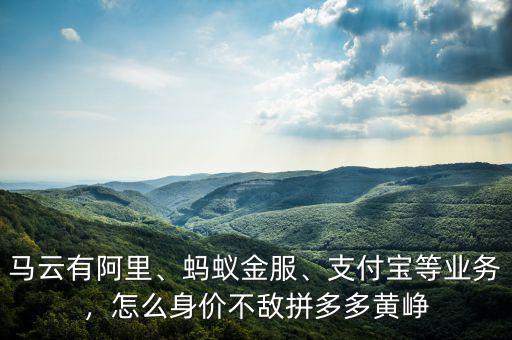 馬云有阿里、螞蟻金服、支付寶等業務，怎么身價不敵拼多多黃崢