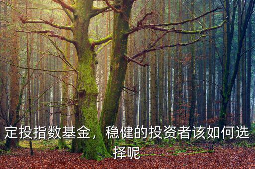 定投指數基金，穩健的投資者該如何選擇呢