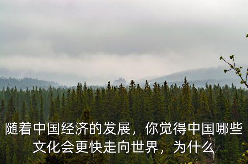 為什么中國經濟發展快,為什么南方經濟發展快