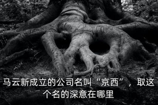 馬云在美國成立什么公司,假如馬云在美國發展會怎么樣