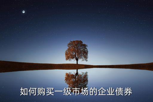 如何購買一級市場的企業債券