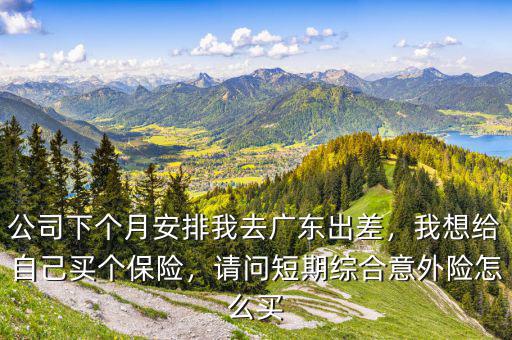 公司下個月安排我去廣東出差，我想給自己買個保險，請問短期綜合意外險怎么買