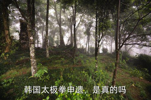 韓國太極拳申遺，是真的嗎