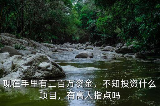 現在手里有二百萬資金，不知投資什么項目，有高人指點嗎