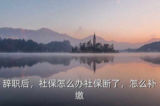 辭職后，社保怎么辦社保斷了，怎么補繳