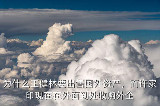 為什么王健林要出售國外資產，而許家印現在在外面到處收購外企