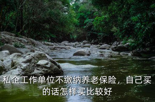 單位養老保險怎么買,在哪家公司買養老保險最靠譜