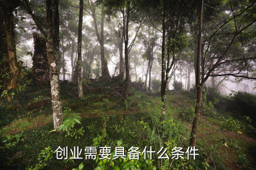 創業需要具備什么條件