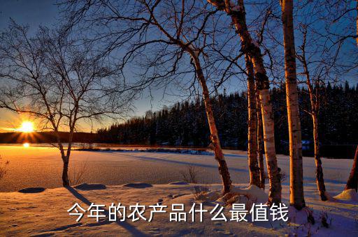 春節什么農產品最貴,春節最貴的蔬菜是什么