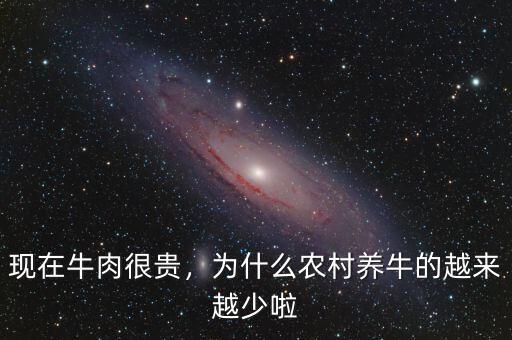 現在牛肉很貴，為什么農村養牛的越來越少啦